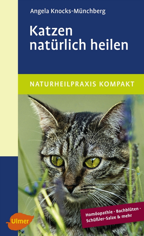 Katzen nat&uuml;rlich heilen - Angela Knocks-M&uuml;nchberg
