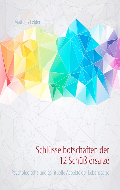 Schl&uuml;sselbotschaften der 12 Sch&uuml;&szlig;lersalze - Matthias Felder