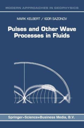 Pulses and Other Wave Processes in Fluids