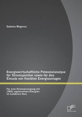Energiewirtschaftliche Potenzialanalyse f&uuml;r Stromspeicher sowie f&uuml;r den Einsatz von flexiblen Energieanlagen: F&uuml;r eine Stromversorgung mit 100% regenerativen Energien im Landkreis Harz - Guluma Megersa