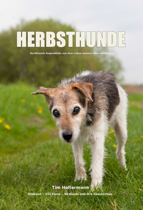 HERBSTHUNDE - Tim Haltermann