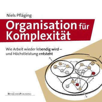 Organisation f&uuml;r Komplexit&auml;t - Niels Pfl&auml;ging