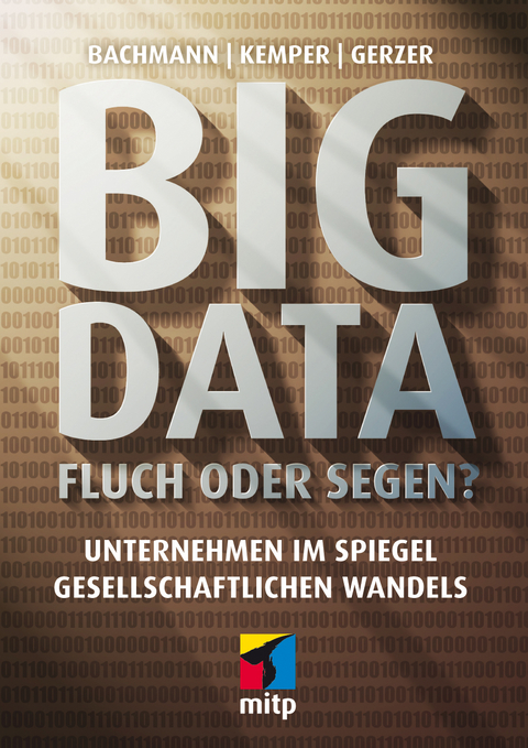 Big Data - Fluch oder Segen? - Ronald Bachmann, Guido Kemper, Thomas Gerzer