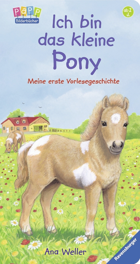 Ich bin das kleine Pony - Sandra Grimm