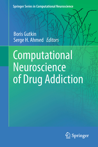 Computational Neuroscience of Drug Addiction