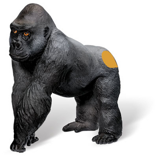 tiptoi® Gorilla Männchen