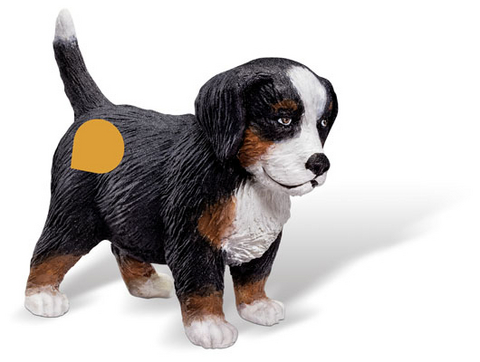 tiptoi&reg; Berner Sennenhund Welpe