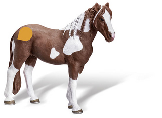 tiptoi® Barockpinto Stute