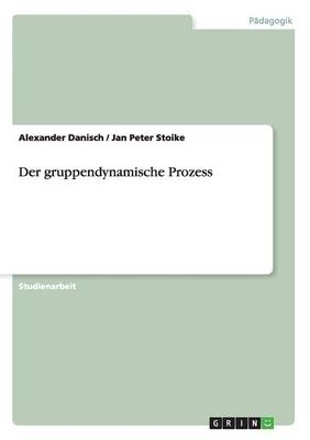 Der gruppendynamische Prozess - Jan Peter Stoike, Alexander Danisch