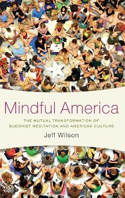 Mindful America