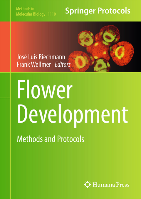 Flower Development - 