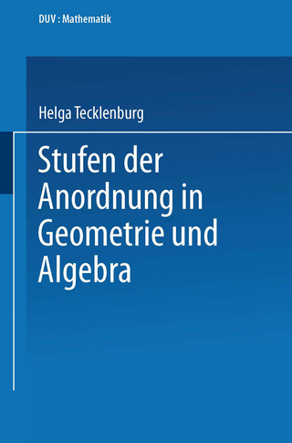 Stufen der Anordnung in Geometrie und Algebra