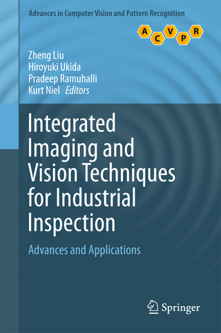 Integrated Imaging and Vision Techniques for Industrial Inspection