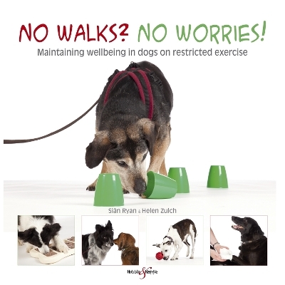 No Walks? No Worries! - Helen Zulch, Peter Baumber, Sian Ryan