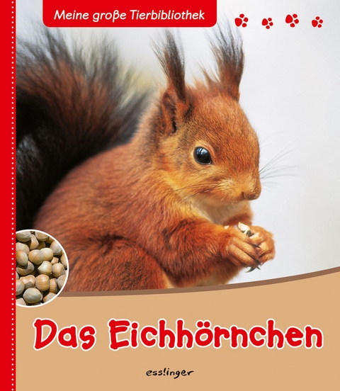 Meine gro&szlig;e Tierbibliothek: Das Eichh&ouml;rnchen - St&eacute;phanie Ledu-Frattini