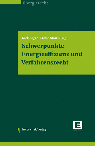 Schwerpunkte Energieeffizienz und Verfahrensrecht