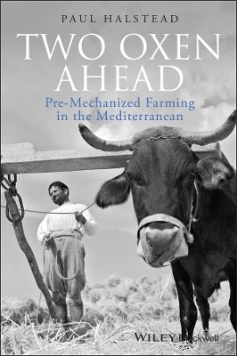 Two Oxen Ahead - Paul Halstead