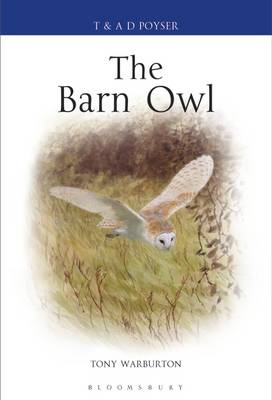 The Barn Owl