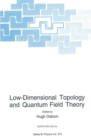 Low-Dimensional Topology and Quantum Field Theory