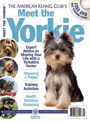 Meet the Yorkie - 