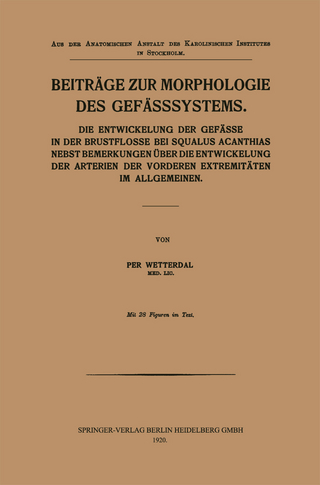 Beiträge zur Morphologie des Gefässsystems