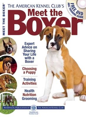 Meet the Boxer - 