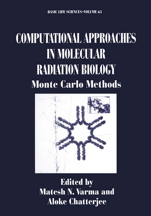 Computational Approaches in Molecular Radiation Biology - 
