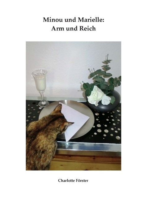 Minou und Marielle: Arm und Reich - Charlotte F&ouml;rster