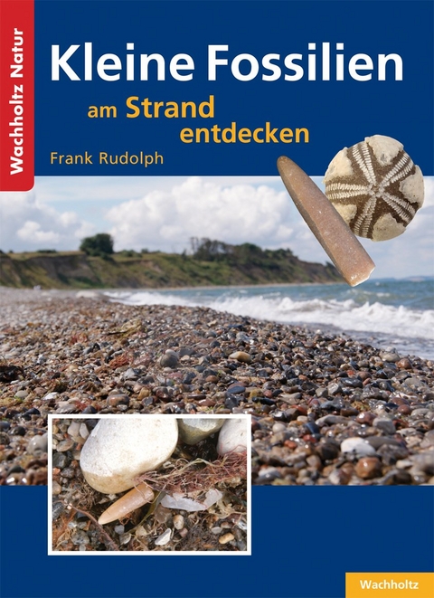 Kleine Fossilien am Strand entdecken - Frank Rudolph