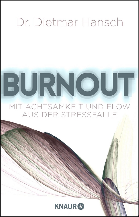 Burnout - Dietmar Hansch