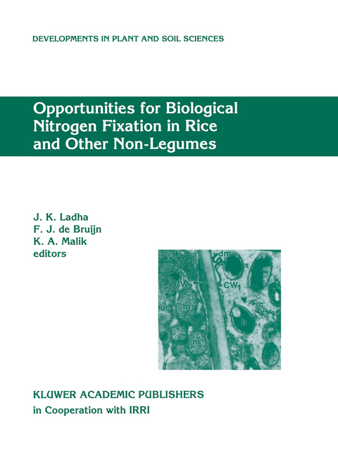 Opportunities for Biological Nitrogen Fixation in Rice and Other Non-Legumes - 