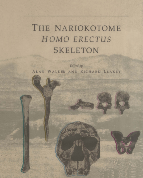 The Nariokotome Homo Erectus Skeleton - 