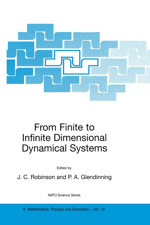 From Finite to Infinite Dimensional Dynamical Systems - 