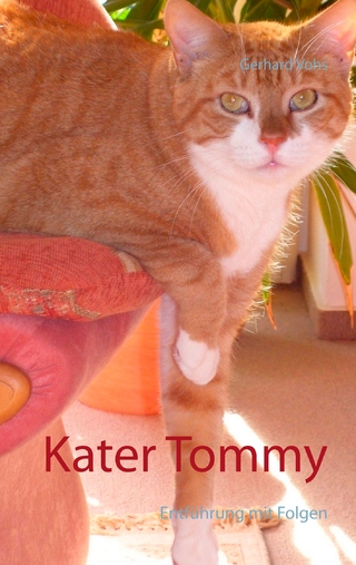 Kater Tommy