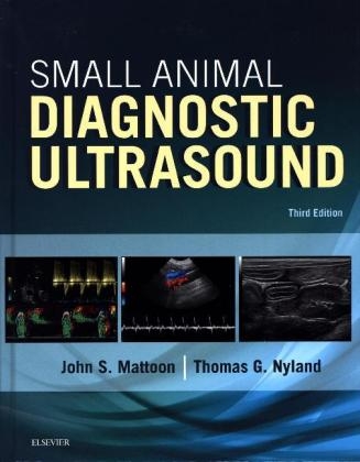 Small Animal Diagnostic Ultrasound - John S. Mattoon, Thomas G. Nyland