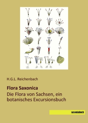 Flora Saxonica - 