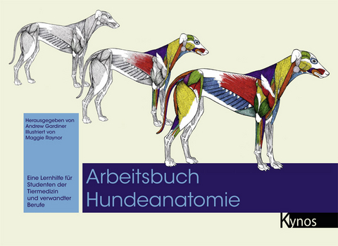 Arbeitsbuch Hundeanatomie - 