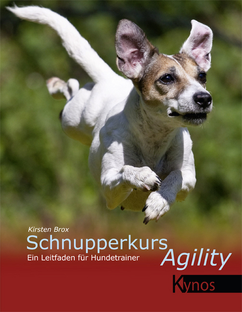 Schnupperkurs Agility - Kirsten Brox