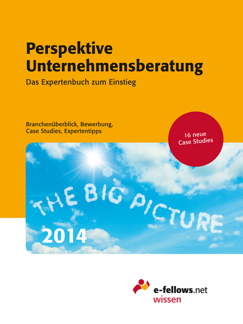 Perspektive Unternehmensberatung 2014 - 