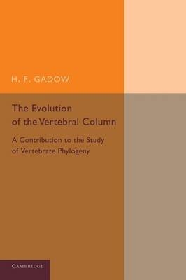 The Evolution of the Vertebral Column - H. F. Gadow