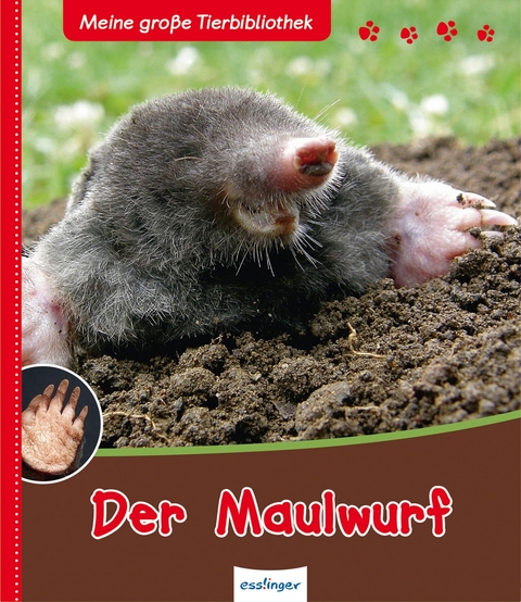 Meine gro&szlig;e Tierbibliothek: Der Maulwurf - Dr. Jens Poschadel