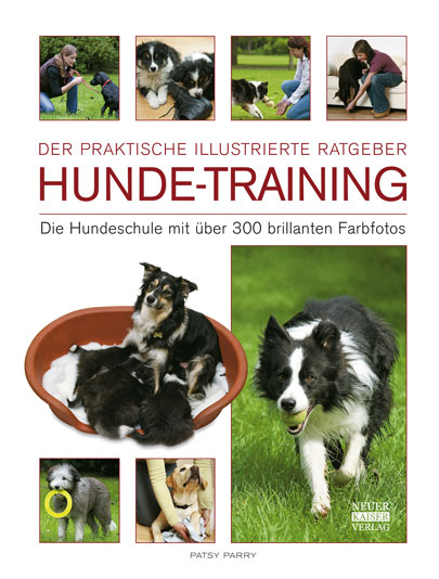 Hunde-Training - Patsy Parry