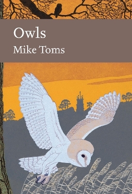 Owls - Mike Toms