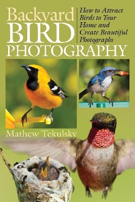 Backyard Bird Photography - 