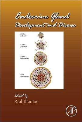 Endocrine Gland Development and Disease - 