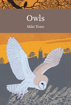 Owls - Mike Toms