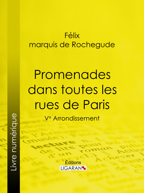 Promenades dans toutes les rues de Paris - F&eacute;lix Marquis de Rochegude,  Ligaran