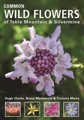 Common Wild Flowers of Table Mountain & Silvermine - Hugh Clarke