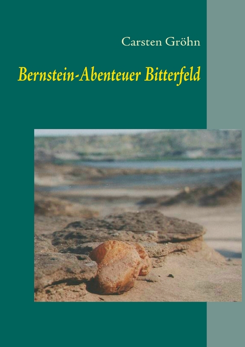 Bernstein-Abenteuer Bitterfeld - Carsten Gr&ouml;hn