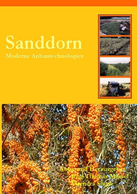 Sanddorn - J&ouml;rg-Thomas M&ouml;rsel, Virendra Singh